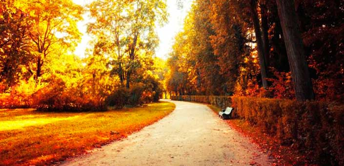 A IMPORTÂNCIA DE SE TER OS CAMINHOS ESPIRITUAIS&nbsp;ABERTOS