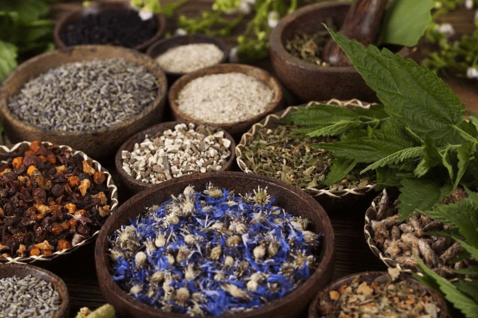 A CIÊNCIA DOS BANHOS DE DESCARREGO PT&nbsp;1